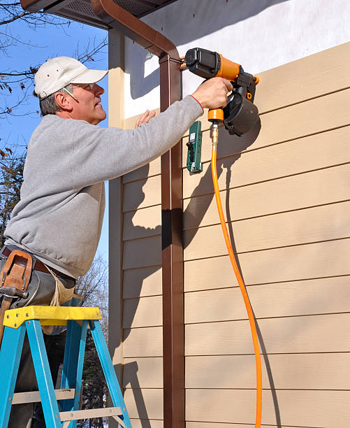 Best Siding Painting and Refinishing  in Merrionette Park, IL